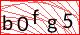 captcha-image