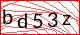 captcha-image