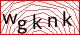 captcha-image