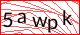 captcha-image
