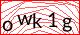 captcha-image